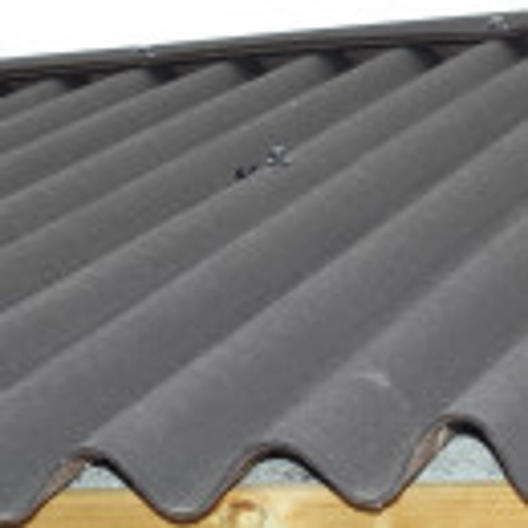 Onduline Roof roof option